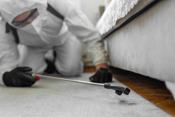 Professional Bed Bug Control technician working in Timberwood Park, TX