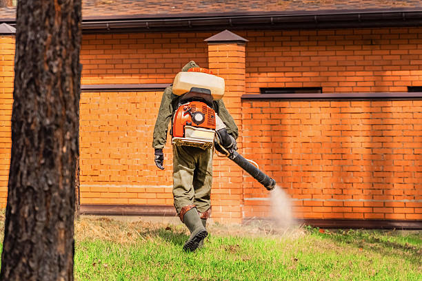 Trusted Cockroach Control service in Timberwood Park, TX - Nex Pest Control